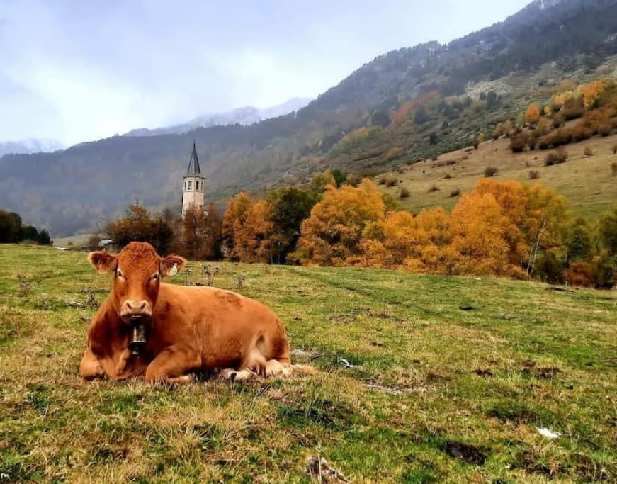 Mcastet, Casita Aranesa En El Valle De Aran Bossòst Kültér fotó